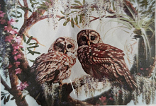 Картина стразами "две совы" (29.7 x 40см) без подрамника