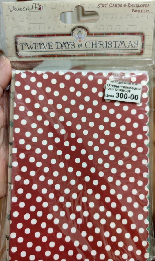 НАБОР ЗАГОТОВОК ДЛЯ ОТКРЫТОК С КОНВЕРТАМИ ФОРМАТ А5, 12 ШТ ш16