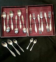 ����� ��������� ����������