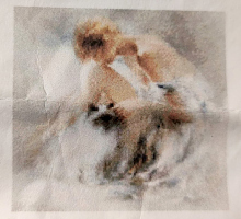 Картина стразами "Нежность" (30 x 29см) без подрамника