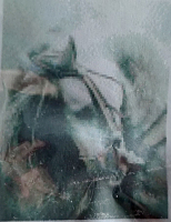 Картина стразами "Серый конь" (19.7х24.5см) без подрамника