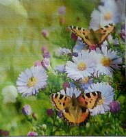 Картина стразами "Ромашки" (19.7х19.5см) без подрамника