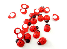 ������������ ������� "����� �������" �� �������, ������, 18 �� (3�� ��������)