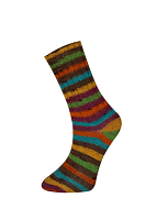 Носочная пряжа Himalaya Socks (Хималайя Сокс) 140-01 палитра  С8Г