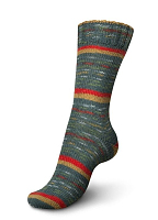 Регия Селебрэйшенс Колор (Schachenmayr Regia) 4нити 9420+пробник Трэ (30мл) для стирки шерсти.