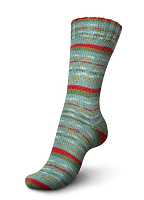 Регия Селебрэйшенс Колор (Schachenmayr Regia) 4нити 9422+пробник Трэ (30мл) для стирки шерсти.