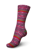 Регия Селебрэйшенс Колор (Schachenmayr Regia) 4нити 9426+пробник Трэ (30мл) для стирки шерсти.