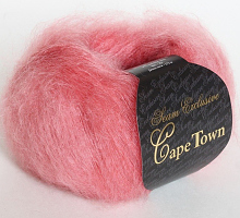 CapeTown ( )  12169  