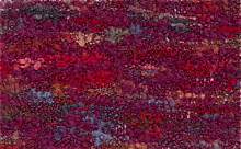 Лана Гатто Бельвью (BELLEVUE), цвет 8835 испанская страсть т7а