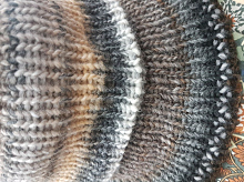   (Azteca Katia)  7804