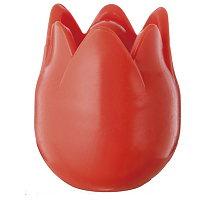    "amicolle",  4*6,5 21