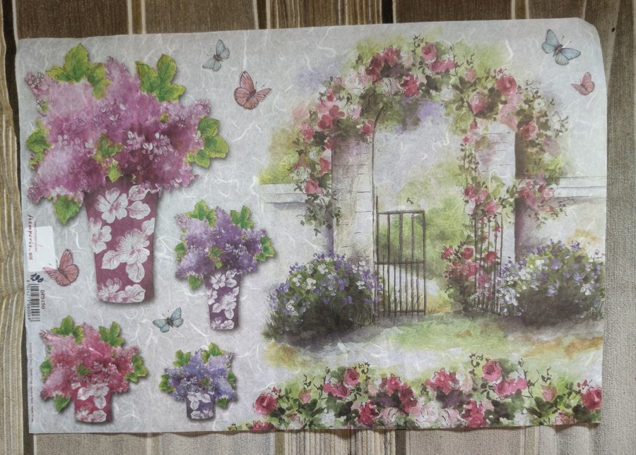 ������ �������