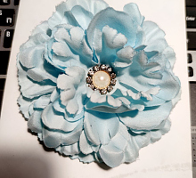 �����-������ ���������� ���� ��������, 11��  �7