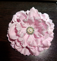 �����-������ ���������� ���� �����-�������, 11��  �7