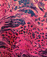 Шифон-деворе черно-малиновый, ш.1.3м (цена за 1см)