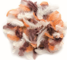 ������������ ����� ���������� ������� 2�, 30��