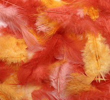 ������������ ����� ������� ������� 2�, 30�� �4