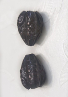   1317  , Union Knopf, (2) 7