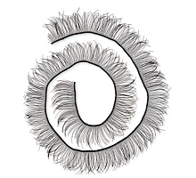 Ресницы для кукол и игрушек черные 8мм