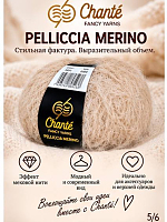 Chanté PELLICCIA MERINO