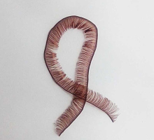 Ресницы для кукол и игрушек коричневые 10мм С5п