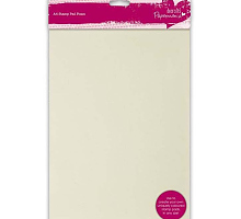 -      , . 4, PMA169207, Dorafts