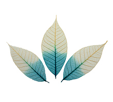     , - ./8 ., ScrapBerry's 15