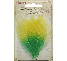     , -, ./8 ., ScrapBerry's 15