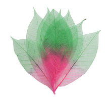     , -, ./8 ., ScrapBerry's 15